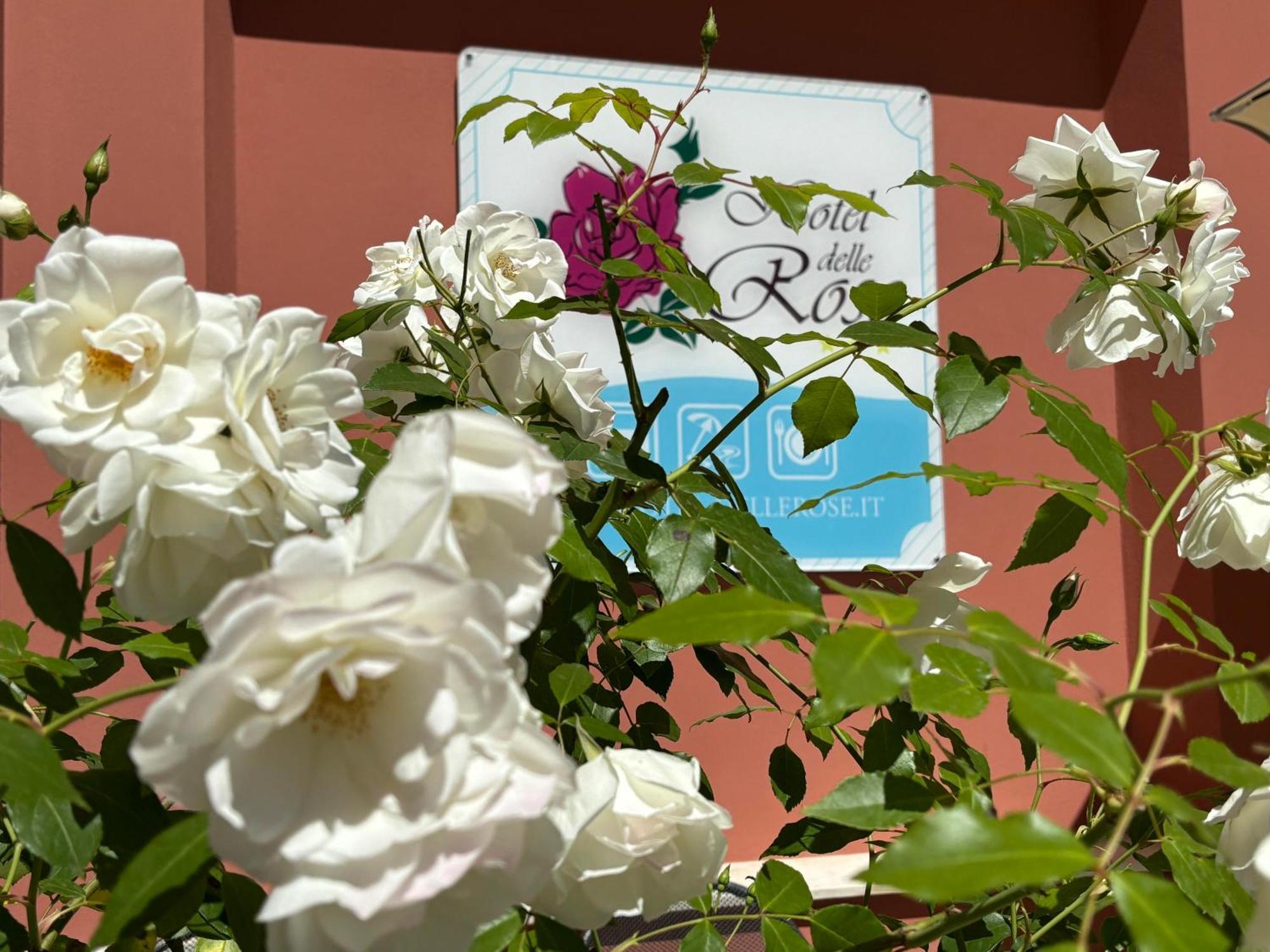 Hotel Delle Rose San Bartolomeo Al Mare Ngoại thất bức ảnh